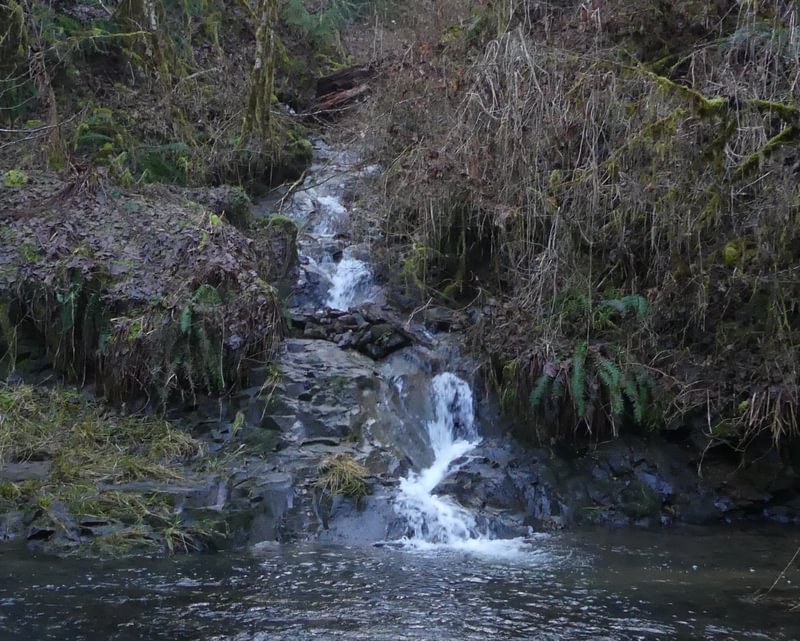 Falls Creek clatskanie river falls apiary waterfall columbia county northwest oregon