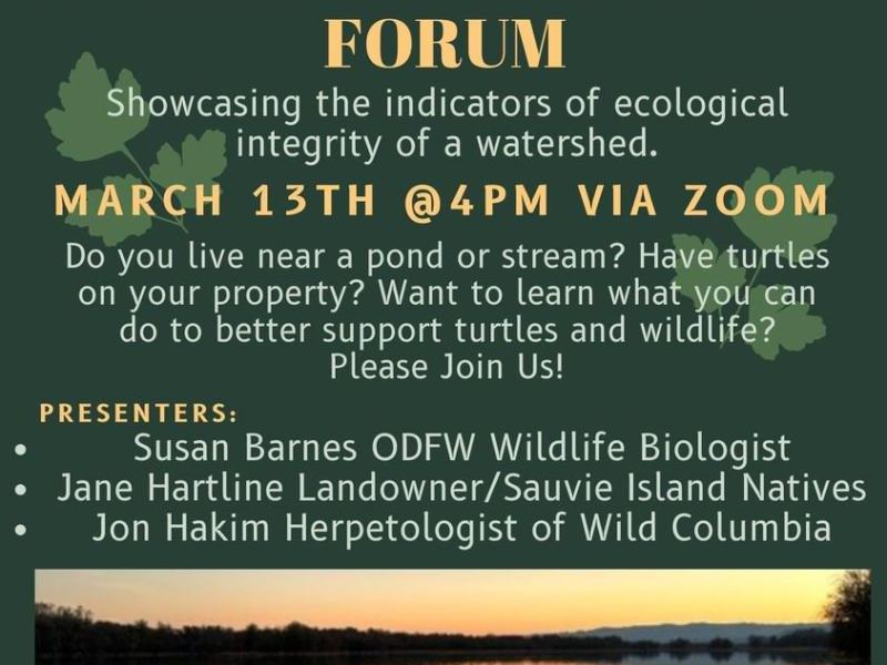 Turtle forum on March 13th!